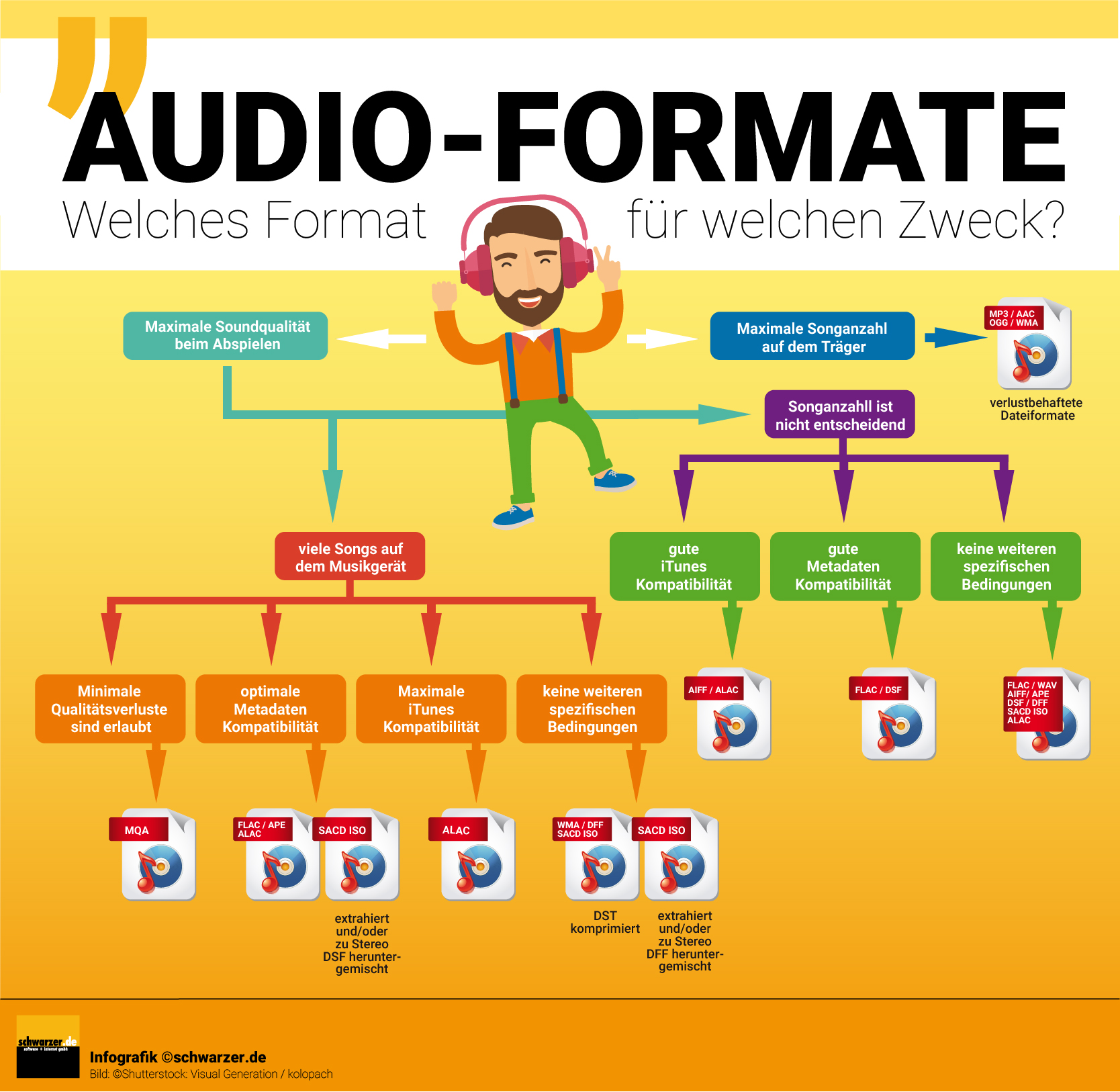 Infografik: Audio Formate - Welches Format für welchen Zweck?